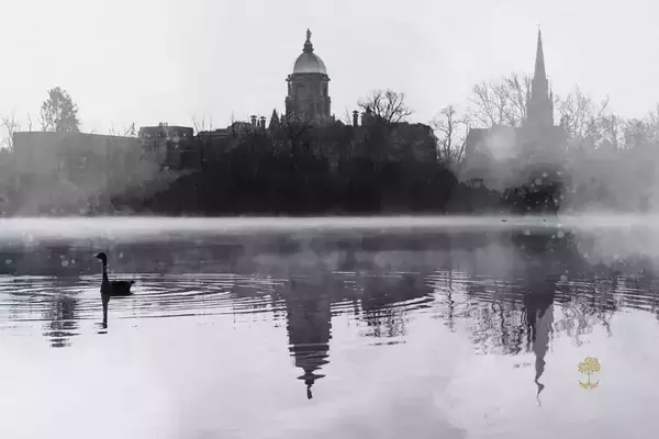 beloved lakeside